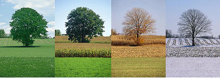 传闻：微软直面会将于近期公开 包含第一方游戏