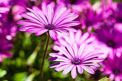 《仙剑世界》终极测试10月15日开启 付费删档不限号